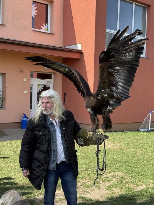 Edukativní program o dravcích a papoušcích 